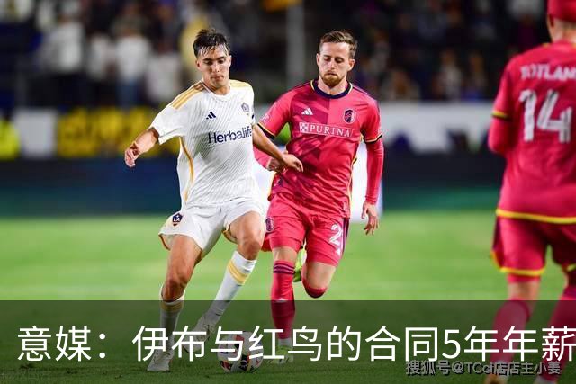 意媒：伊布与红鸟的合同5年年薪100万欧，职责除了竞技还涉及商业